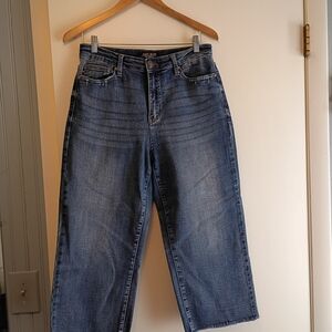 Judy Blue Dark Wash Ankle Jeans
